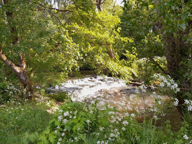 Le long de l'Indre au départ de Déols - Châteauroux