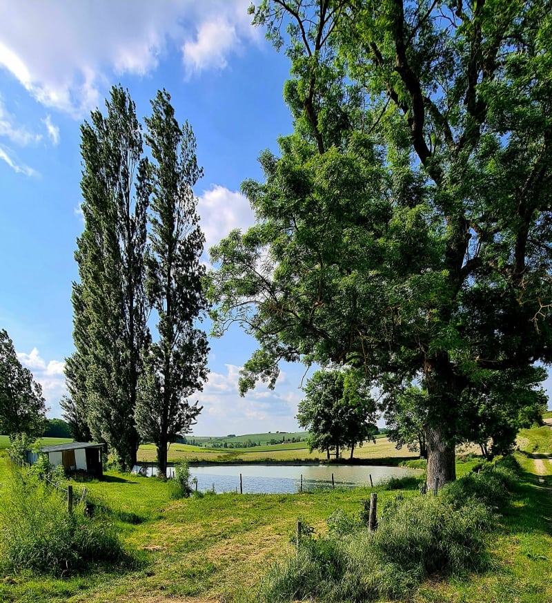 Balade sur les Coteaux de la terre Patrie d'Alfred de Vigny - Champagne-Vigny