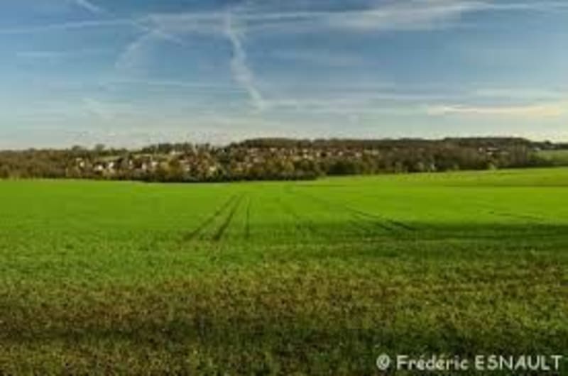 Les étangs du val Maubuée et de la vallée de la Brosse - Noisiel