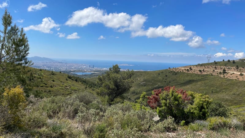 De septèmes les vallons au Pilon du Roy - Septèmes-les-Vallons
