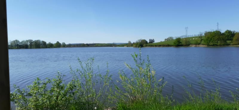 Etang de Montchanin et de Berthaud - Écuisses