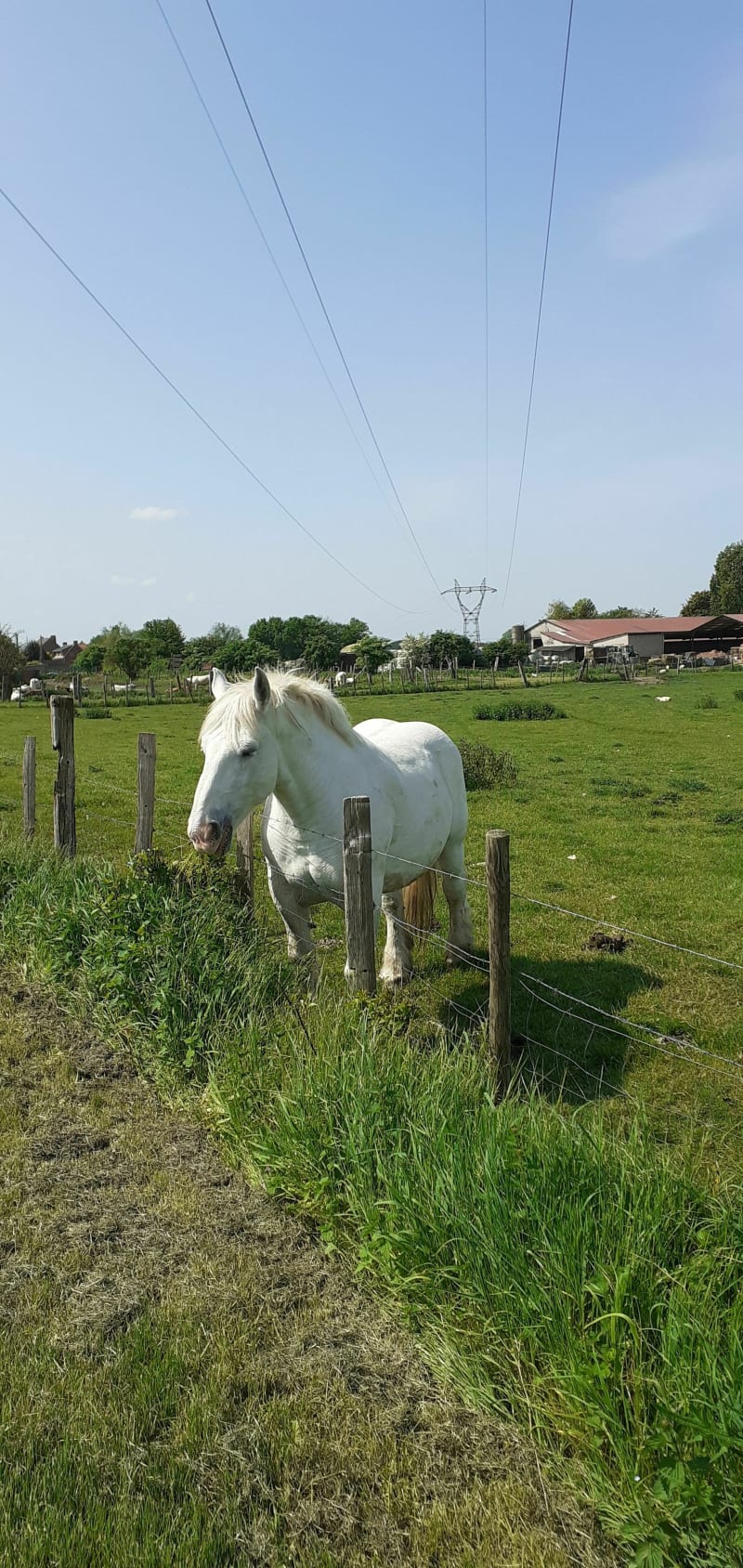 Balade autour de Mazingarbe - Noyelles-lès-Vermelles