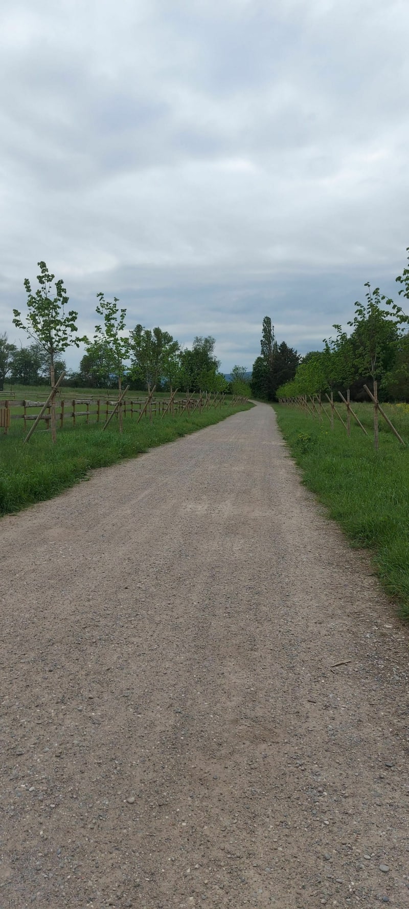 Petite balade par Wedenroth et le long de la Lauch - Herrlisheim-prés-Colmar
