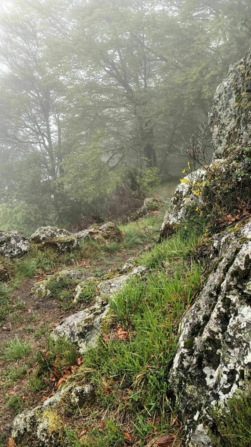 Tuc du Mail Blanc / Arraing-hut - Balacet