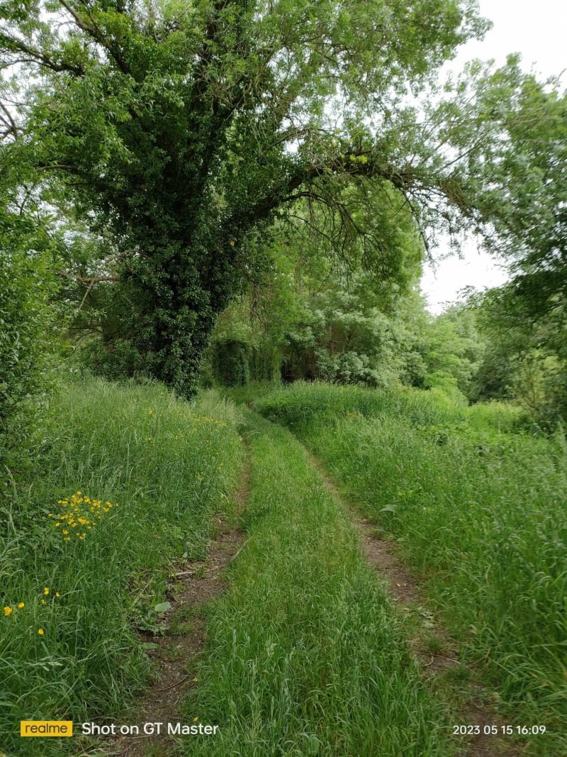 Balade champêtre et bocagère entre La Loire et Le Louet - Rochefort-sur-Loire