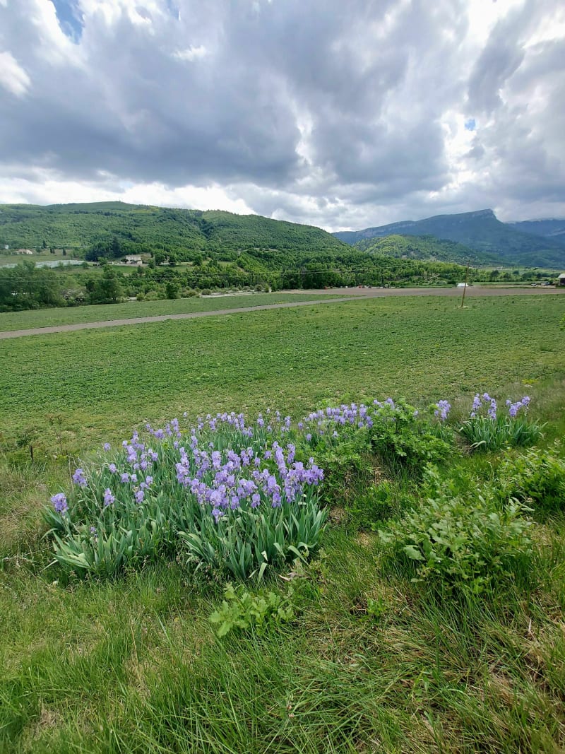 Depuis Bevons au plan d'eau de Sisteron et retour par la Vallée du Jabron - Bevons