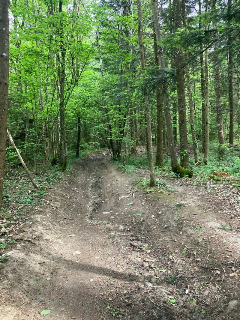 Autour de la Combe de Sillingy par Arzy - Sillingy