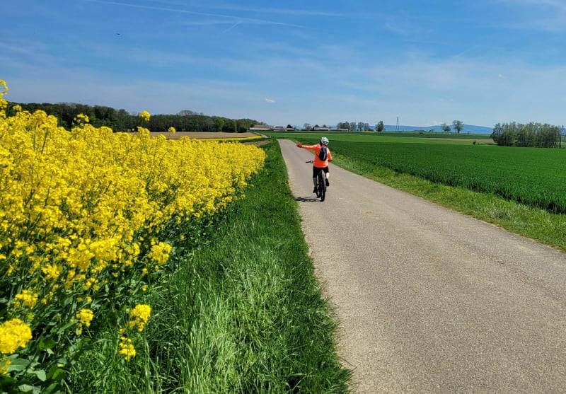 Circuit Sundgau sur voies douces macadamisées (propres...) - Heimersdorf