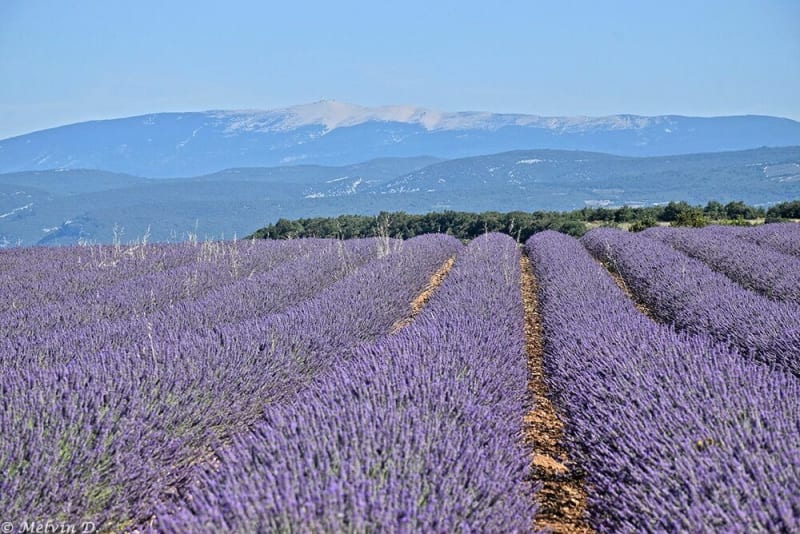 Tour dans le Luberon et Mont de Vaucluse - Pernes-les-Fontaines