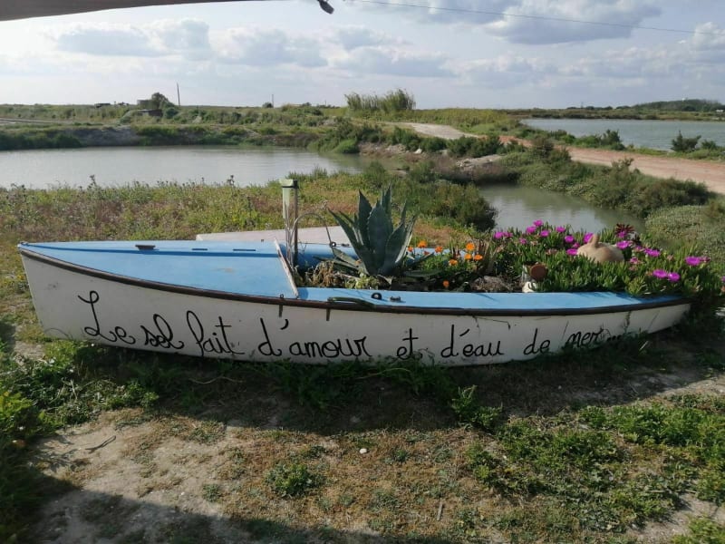 Zoutmoerassen en stranden op het Île de Ré - Ars-en-Ré