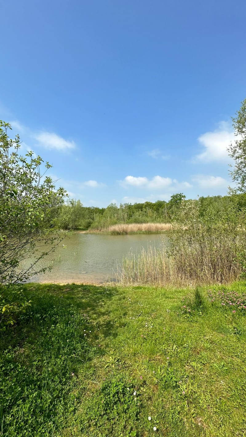 La Mare du Loup - La Croix-Saint-Ouen