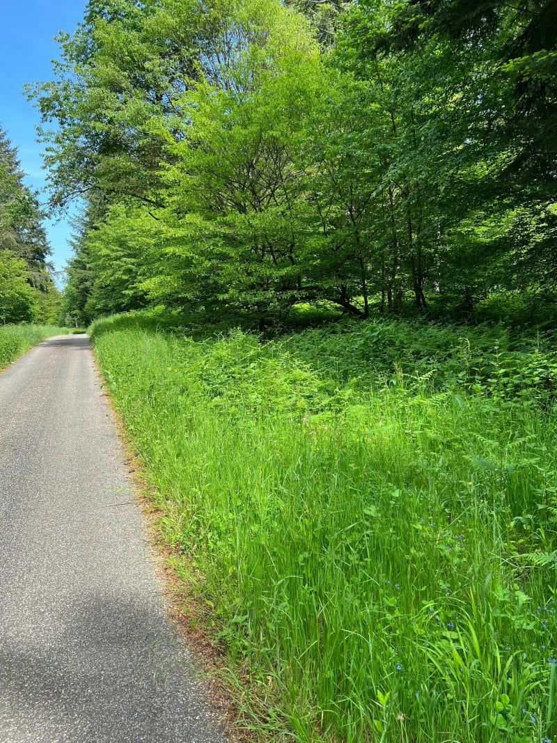 Balade en vélo dans la Serre - Moissey