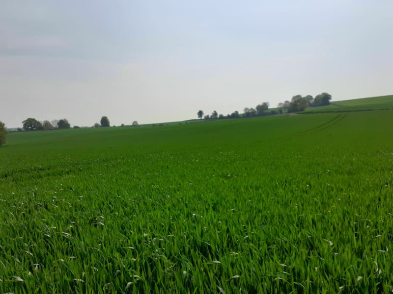Le bois des deux villages par Fond Bruchet - Fressin