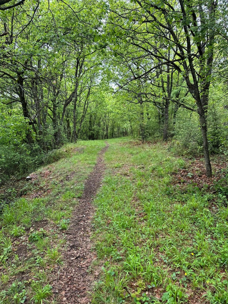 Dina par la Chapelle St-Julien à VTT - Rigaud