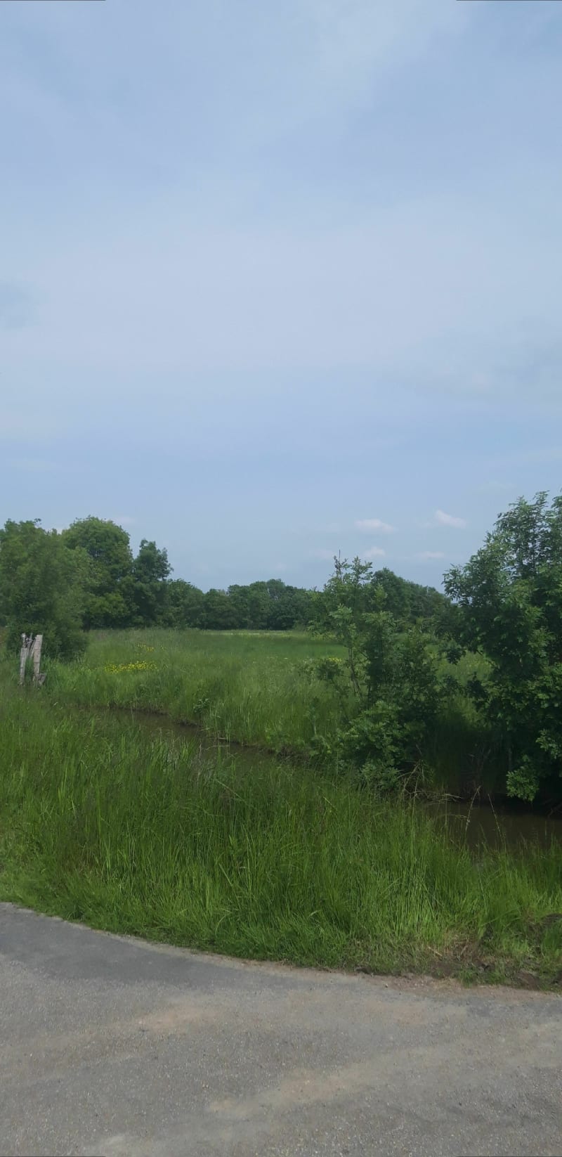 Marais Couëron par St-Étienne de Montluc à Vélo - Couëron