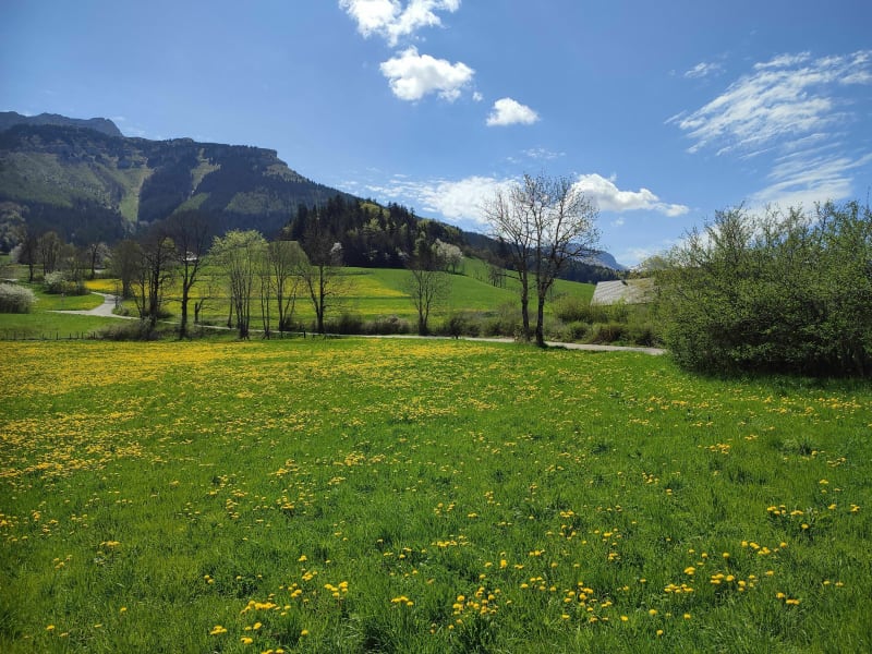 De Villard à Lans par l'ancienne route - Villard-de-Lans