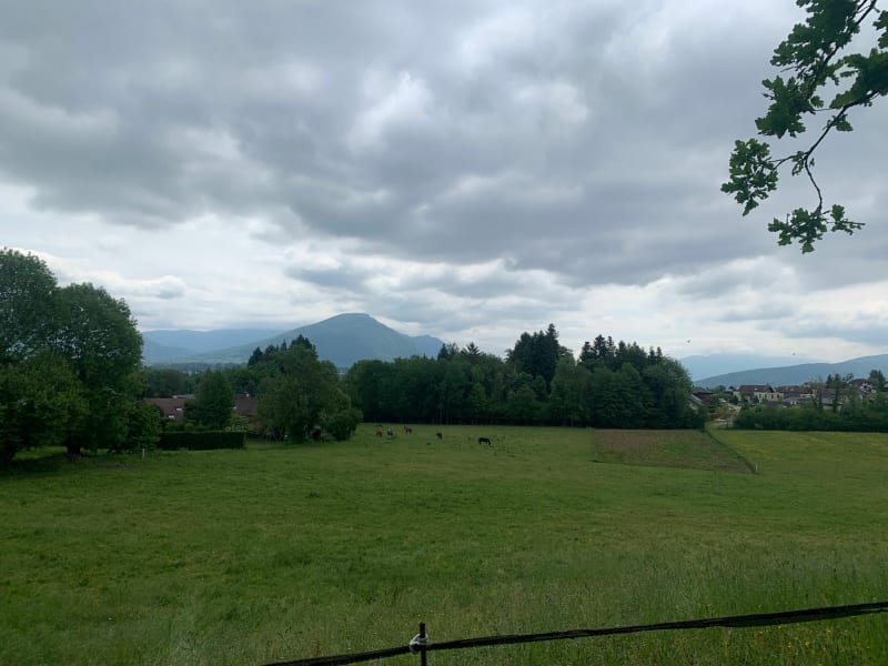 Balade familiale du long du Viéran au long du Genon - Epagny Metz-Tessy