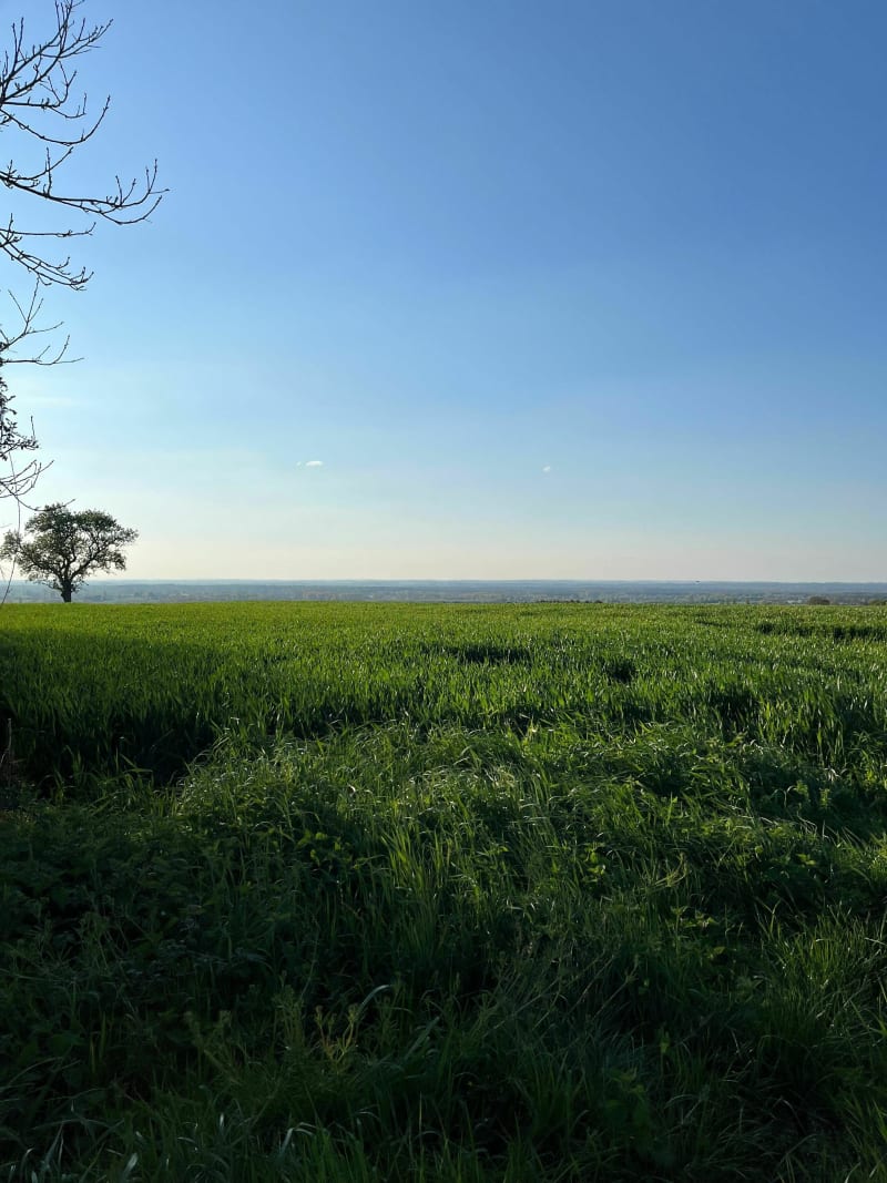 Marche de fin de journée à St-Mars, par Beauchêne - Saint-Mars-d'Outillé