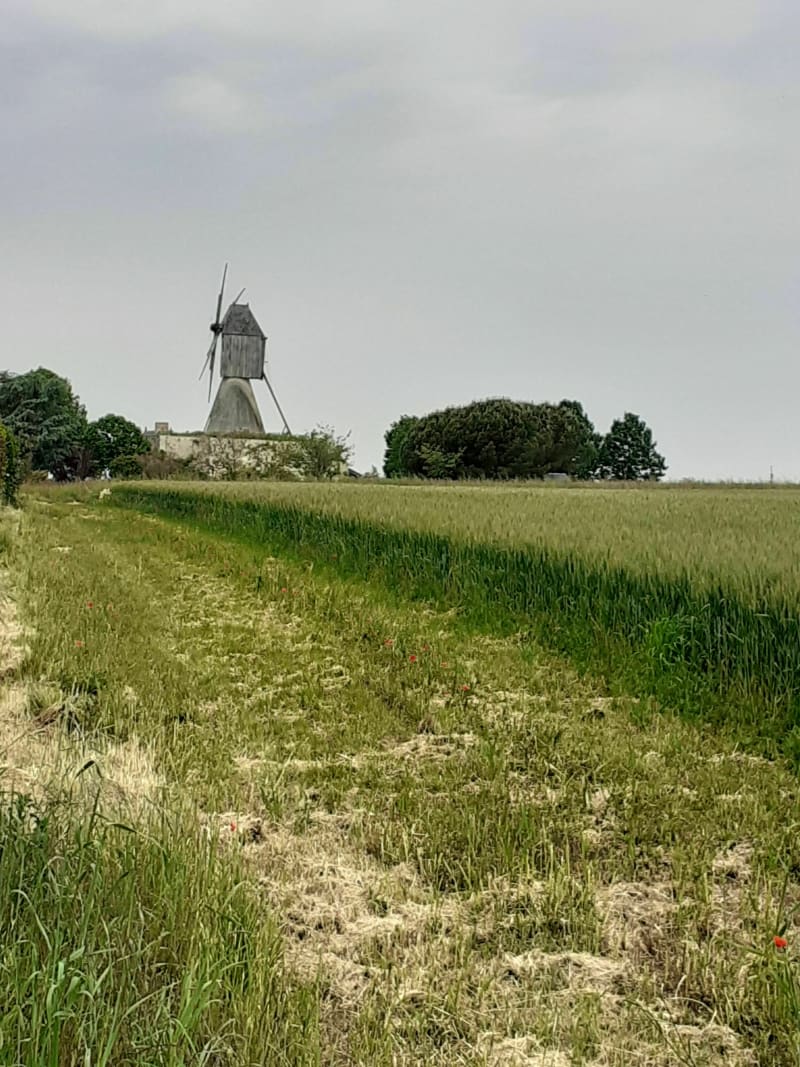 Boucle entre Le Bourg Dion - Blaison - St-Saturnin - Brissac-Loire-Aubance