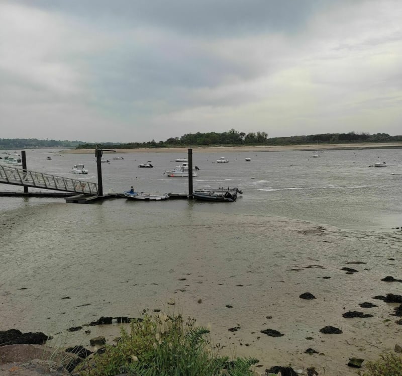 Belle balade à l'estuaire de l'Orne - Merville-Franceville-Plage
