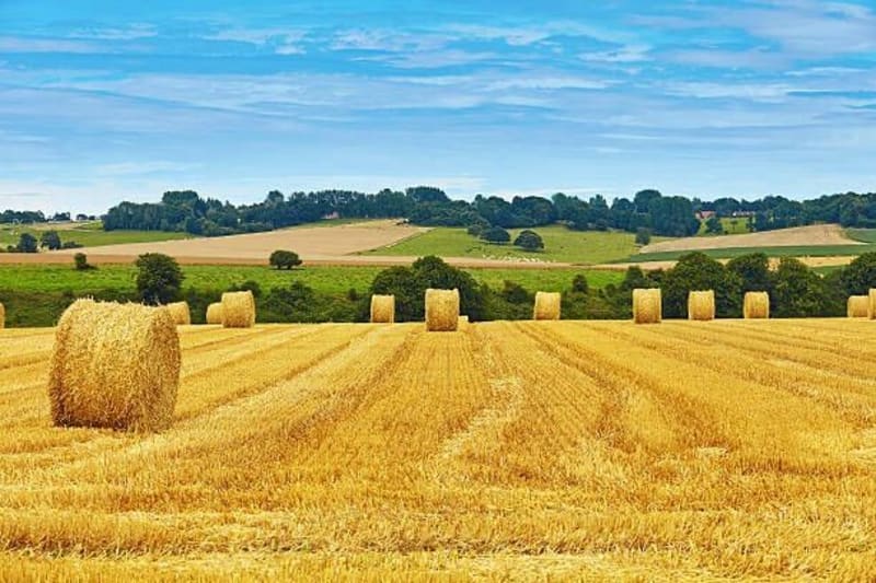 Balade à Vimont - Vimont