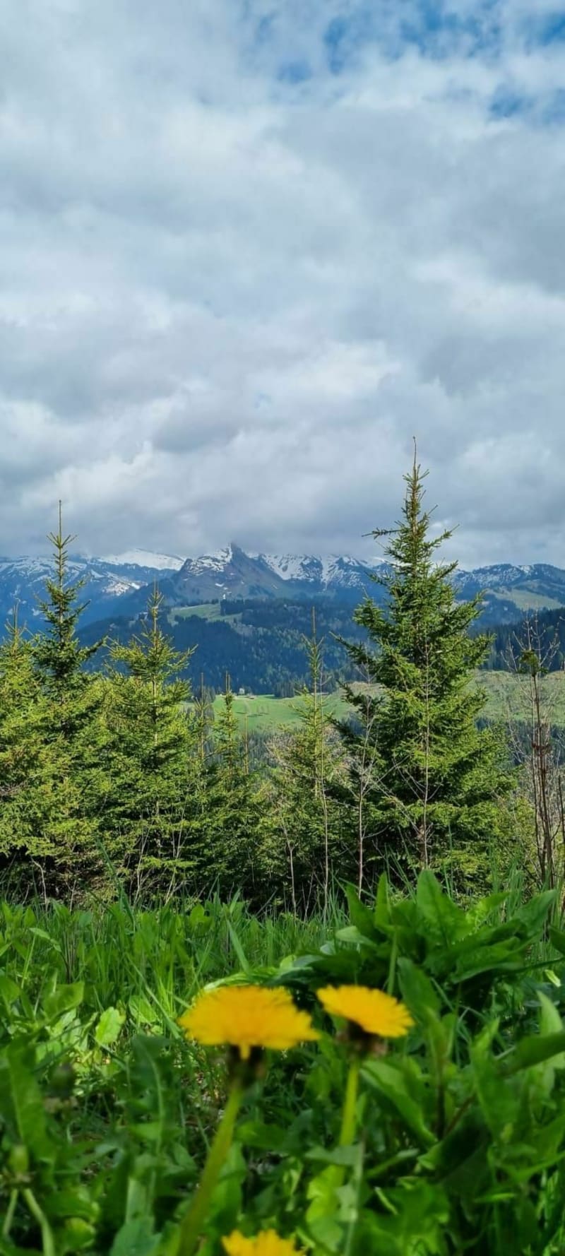 Col de Griou - Essert-Romand