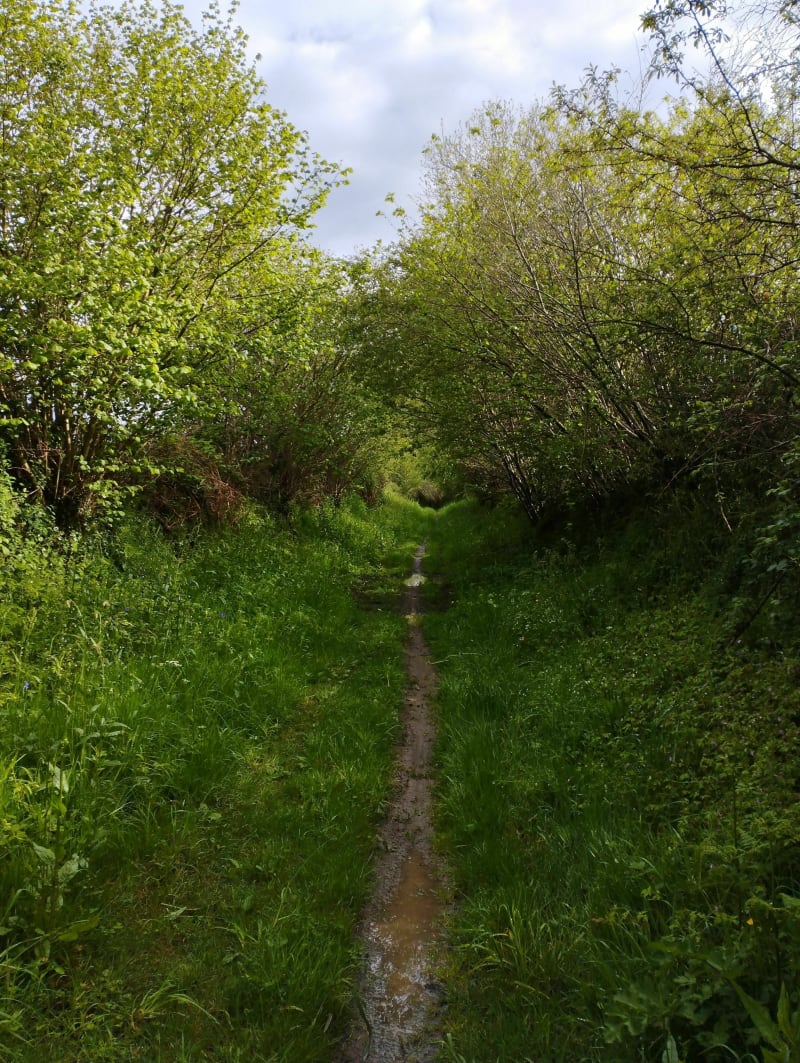 Belle balade autour de Percy et du Mont Robin - Percy-en-Normandie