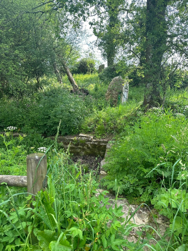 Balade à Saint-Sauveur-le-Vicomte - Saint-Sauveur-le-Vicomte