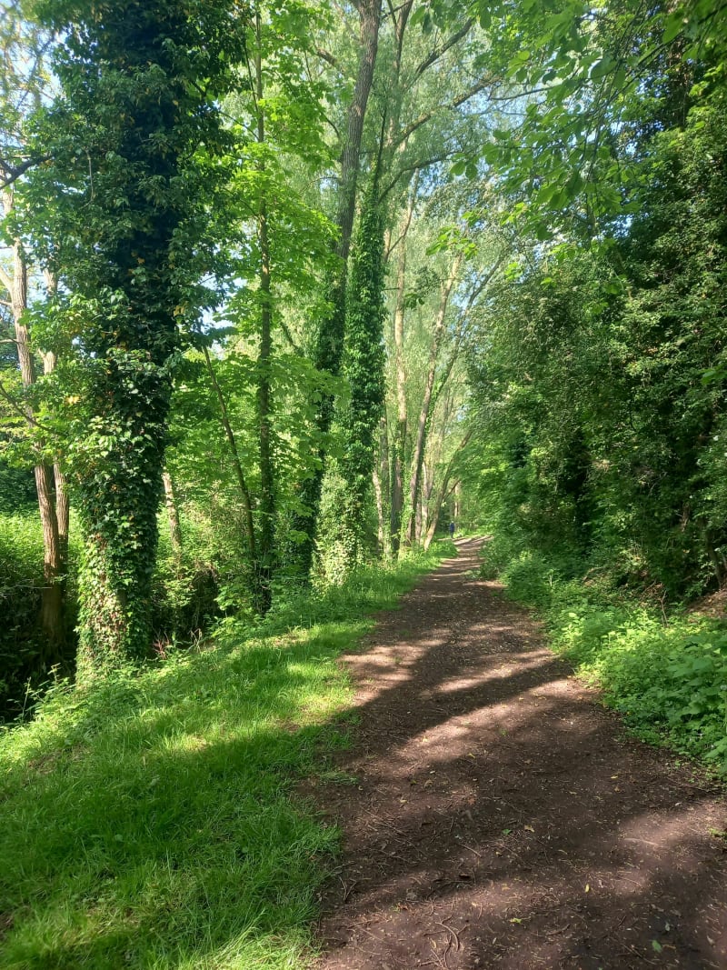 Eleu-dit-Leauwette- Liévin, val de Souchez - Percot - Éleu-dit-Leauwette