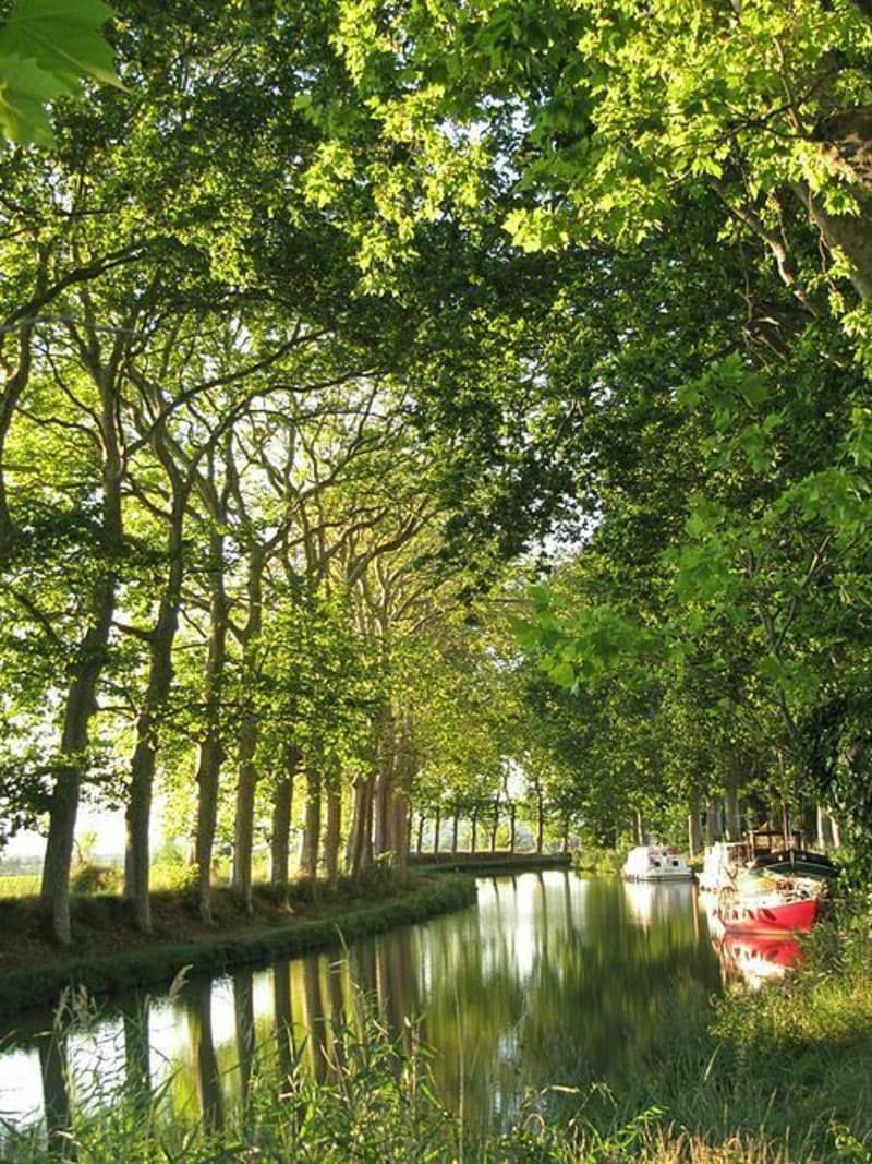 De St-Agne au parc de la ferme des 50 par le canal du midi - Toulouse