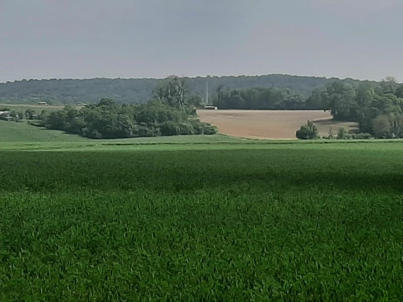 Petite promenade champêtre entre Balagny, Foulangues et Cires - Balagny-sur-Thérain