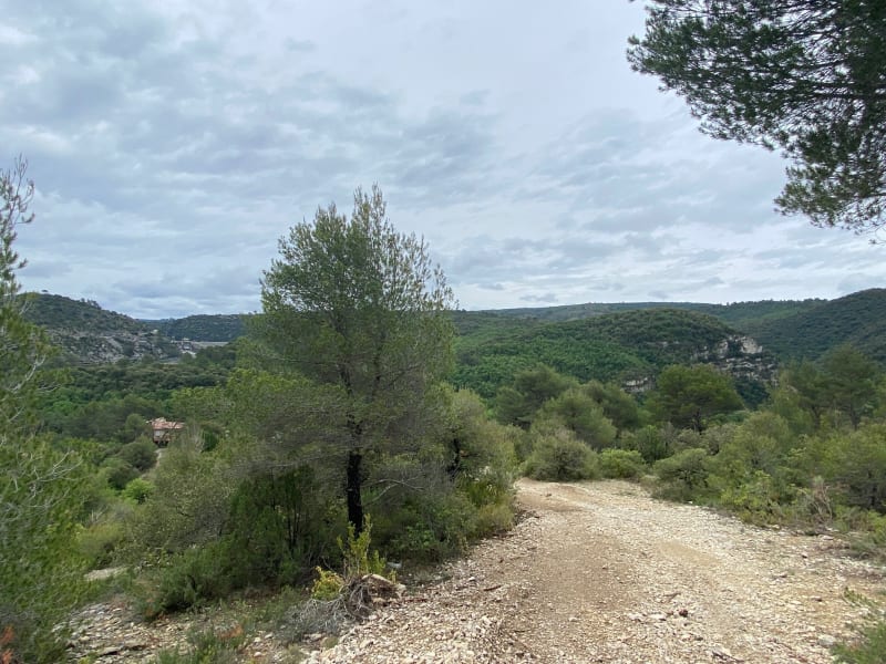 Rando autour de Gréoux, du Verdon au plateau - Gréoux-les-Bains