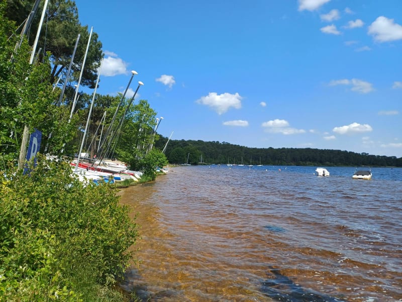 Etang de Lacanau par la forêt - Lacanau