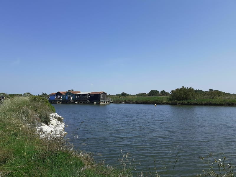 Petit tour sud entre marais, forêt et océan à l'île d'Oléron - Dolus-d'Oléron