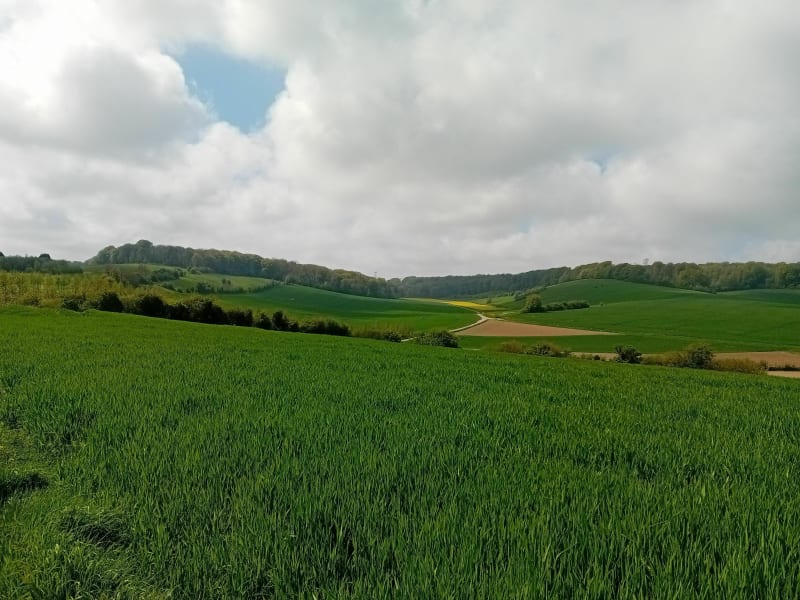 Le Sentier du Ventu à Alembon - Alembon