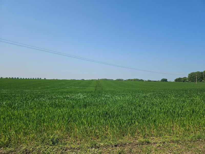 Promenade au départ de Camblain-l'Abbé - Camblain-l'Abbé