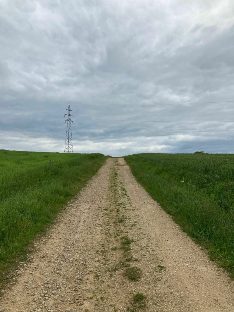 Petite marche à Courpière - Courpière