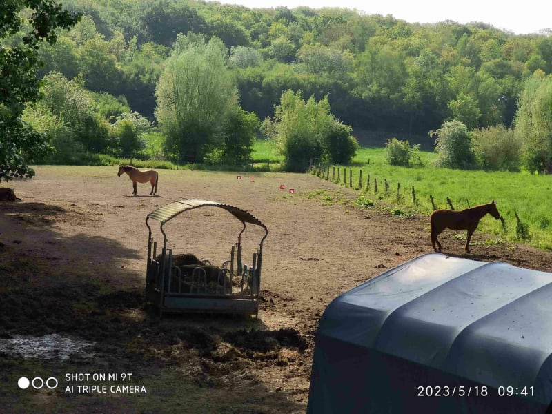 Dans la campagne de l'Artois - Marœuil