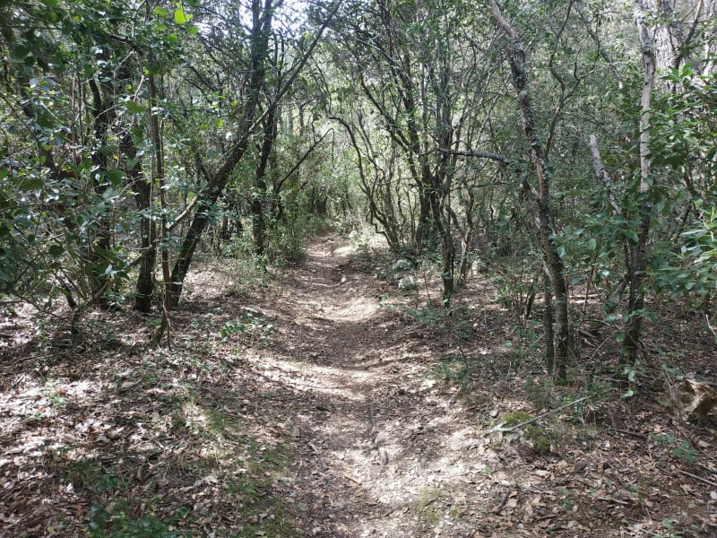 Beau parcours au domaine des 4 frères en partant d'Evenos à VTT - Évenos