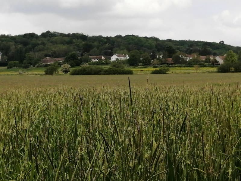 Balade environ d'Herbeville par le Perchy - Maule