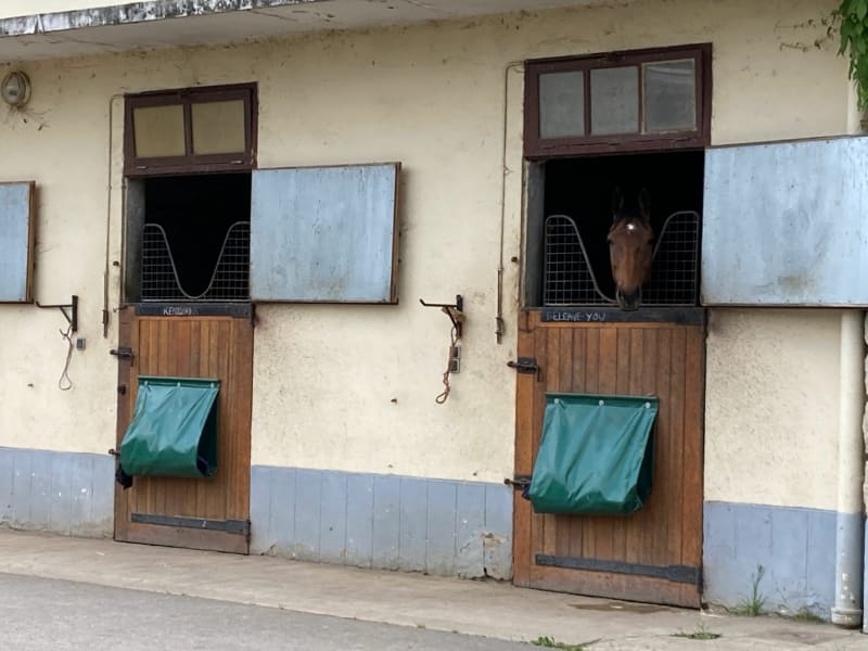 La citée du cheval et la plaine de Montesson - Sartrouville