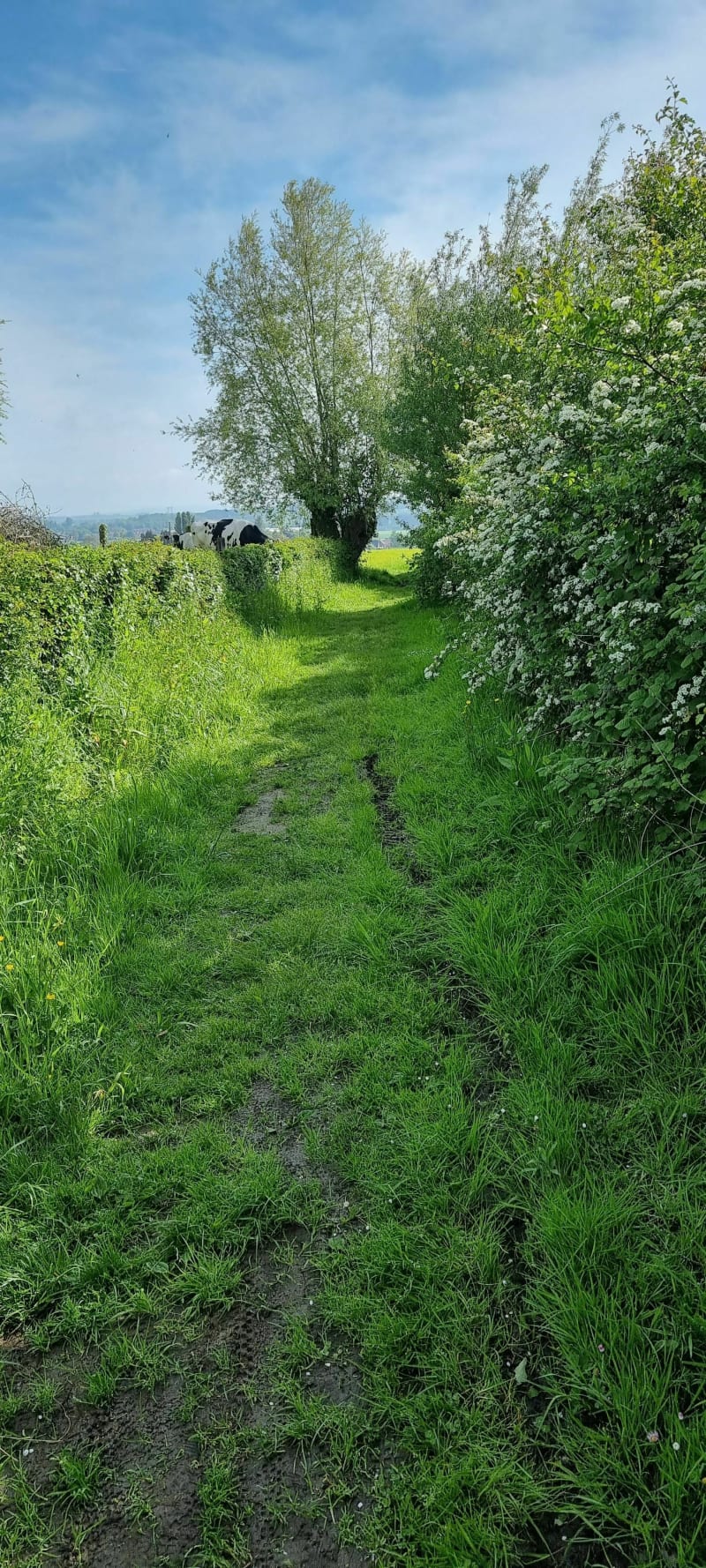 Randonnée dans les Landes à Racquinghem - Racquinghem