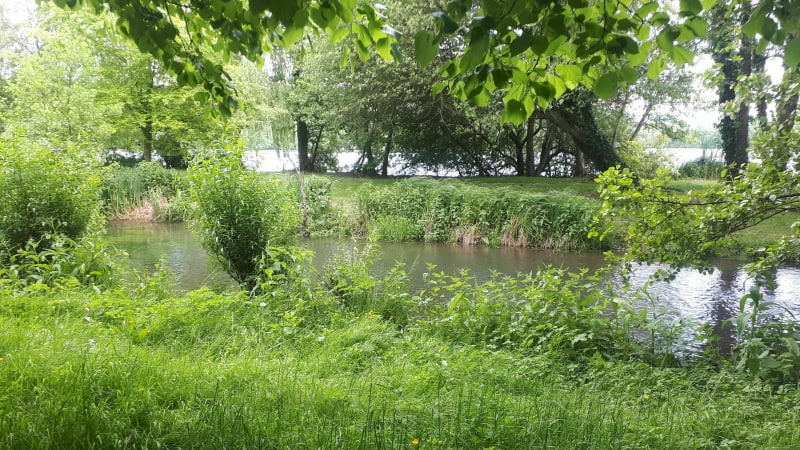 Chemin des faneuses à Condé-sur-Risle - Condé-sur-Risle