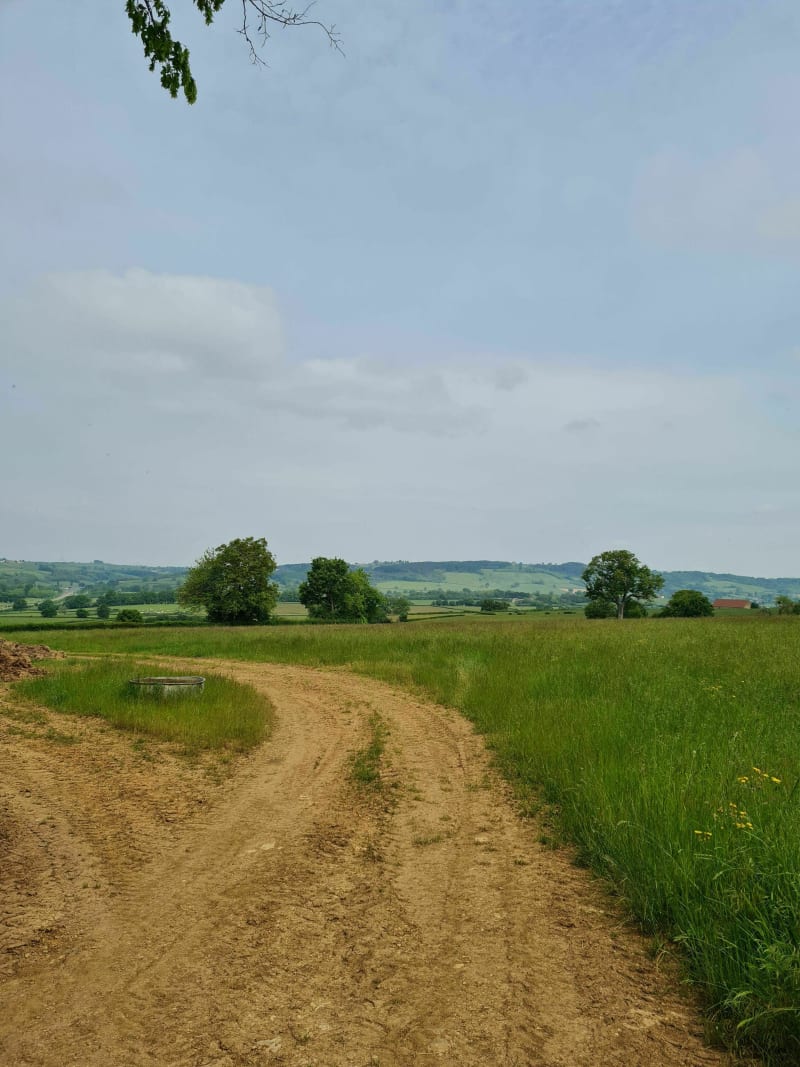 Randonnée sur les hauteurs de Marcilly les Buxy - Marcilly-lès-Buxy