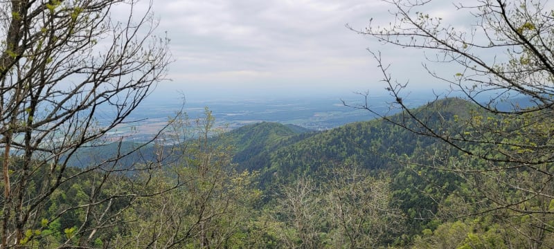 De Cernay vers Molkenrain par Baecherkopf à VTT - Cernay