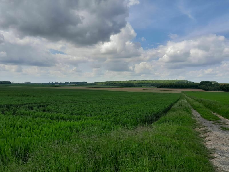 Balade VTT entre Aubigny-en-Artois et Mont-Saint-Eloi - Aubigny-en-Artois