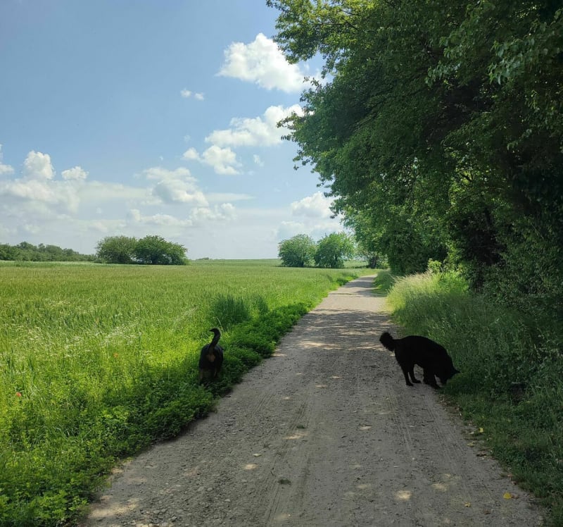 Balade sur le sentier nature à Saint Priest - Saint-Priest