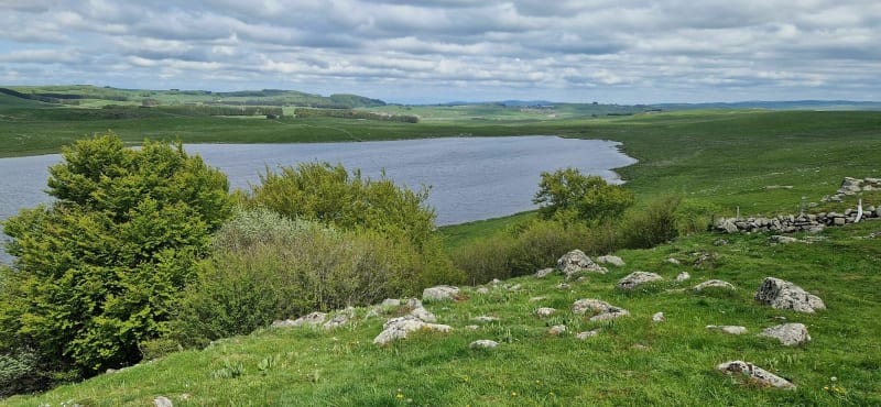 Tussen meren en rivieren op het hoogplateau van Aubrac - Nasbinals