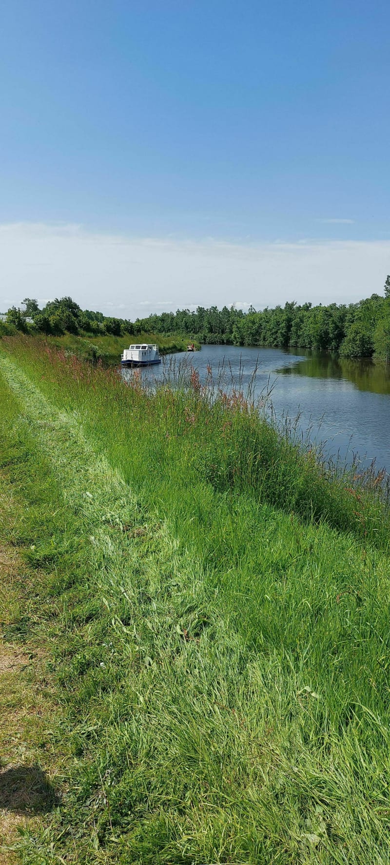 Balade dans la campagne de la Membrolle et au bord de la May - Longuenée-en-Anjou