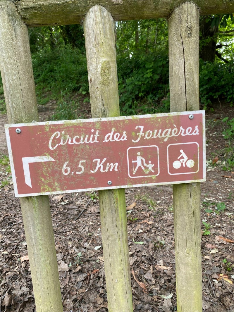 Circuit des Fougères par le Plan d'eau du Moulin de Fougère - Baugé en Anjou